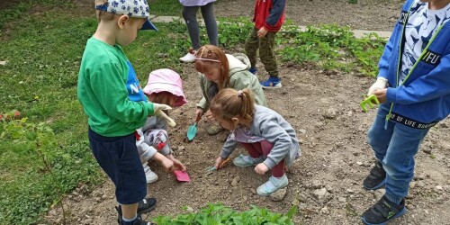 dzieci sadzą warzywa w ogrodzie