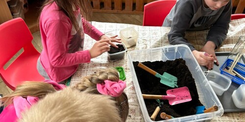 dzieci sadzą fasole