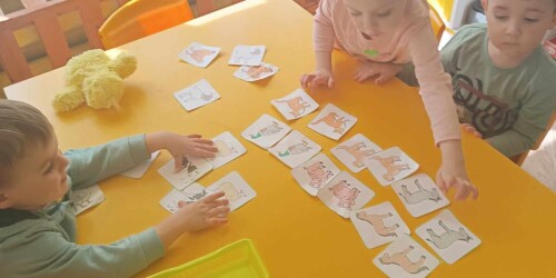 Dzieci układają karty ze zwierzetami