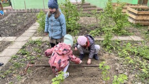dzieci sadzą uprawy w ogrodzie