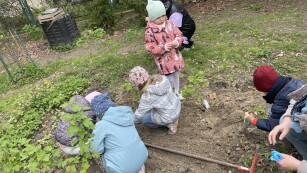 dzieci sadzą uprawy w ogrodzie