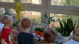 Dzieci pokazują swoje rośliny